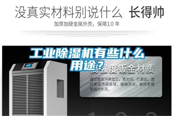 工业除湿机有些什么用途？