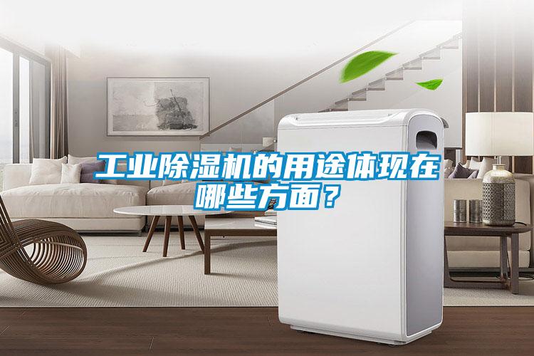 工业除湿机的用途体现在哪些方面？