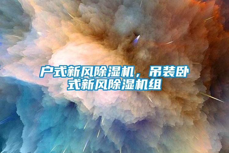 户式新风除湿机，吊装卧式新风除湿机组