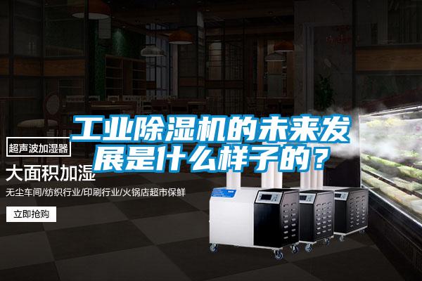 工业除湿机的未来发展是什么样子的？