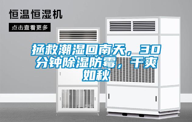 拯救潮湿回南天，30分钟除湿防霉，干爽如秋