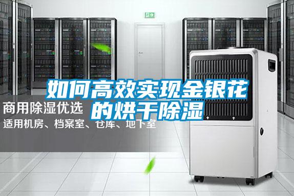 如何高效实现金银花的烘干除湿