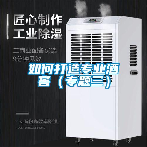 如何打造专业酒窖(专题三)