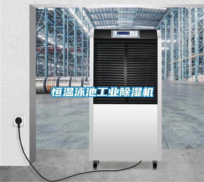 恒温泳池工业除湿机