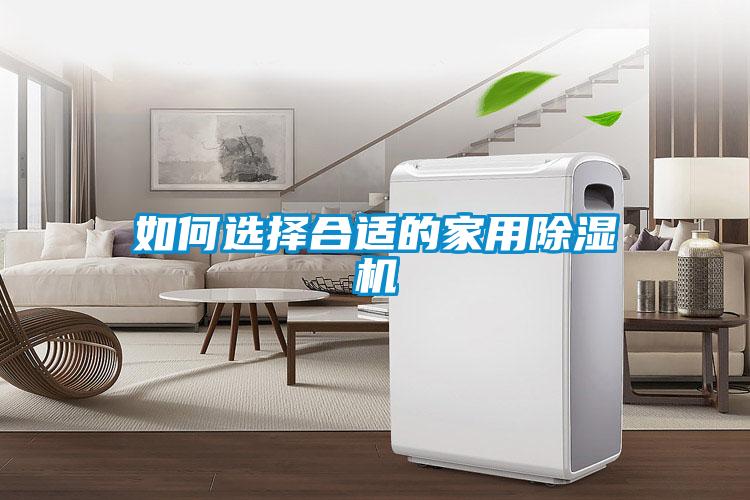 如何选择合适的家用除湿机