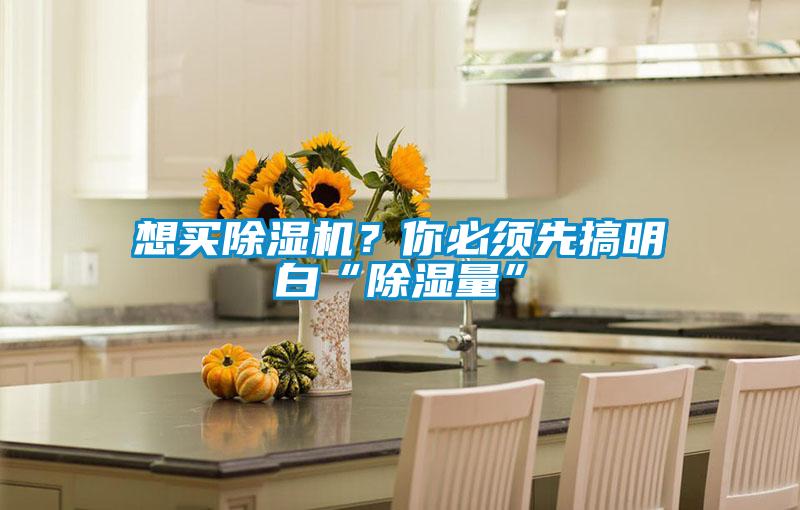 想买除湿机？你必须先搞明白“除湿量”