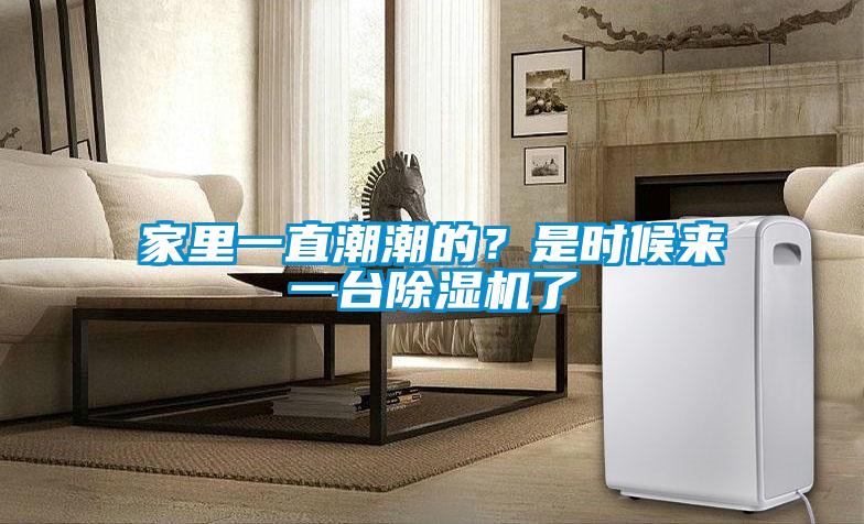 家里一直潮潮的？是时候来一台除湿机了