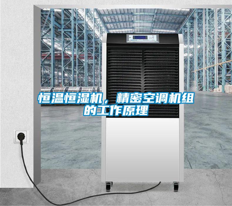 恒温恒湿机，精密空调机组的工作原理