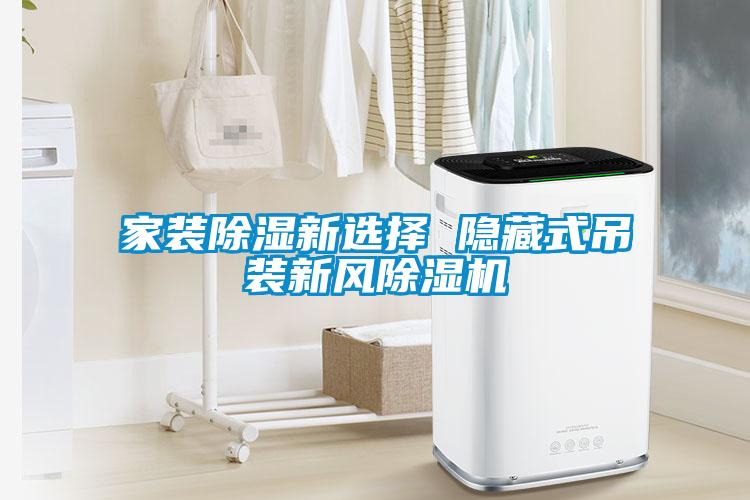 家装除湿新选择 隐藏式吊装新风除湿机