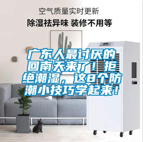广东人最讨厌的回南天来了！拒绝潮湿，这8个防潮小技巧学起来！