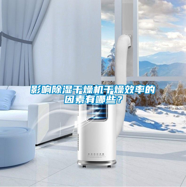 影响除湿干燥机干燥效率的因素有哪些？