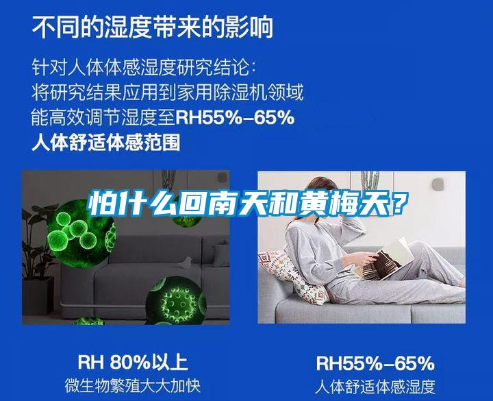 怕什么回南天和黄梅天？