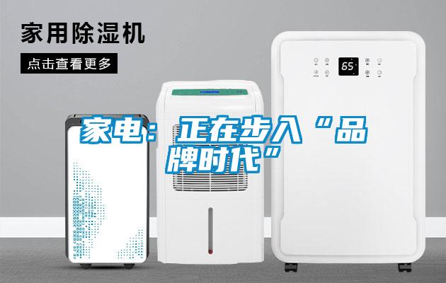 家电:正在步入“品牌时代”