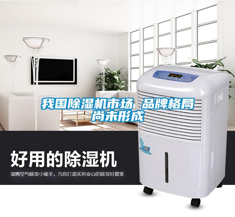 我国除湿机市场 品牌格局尚未形成