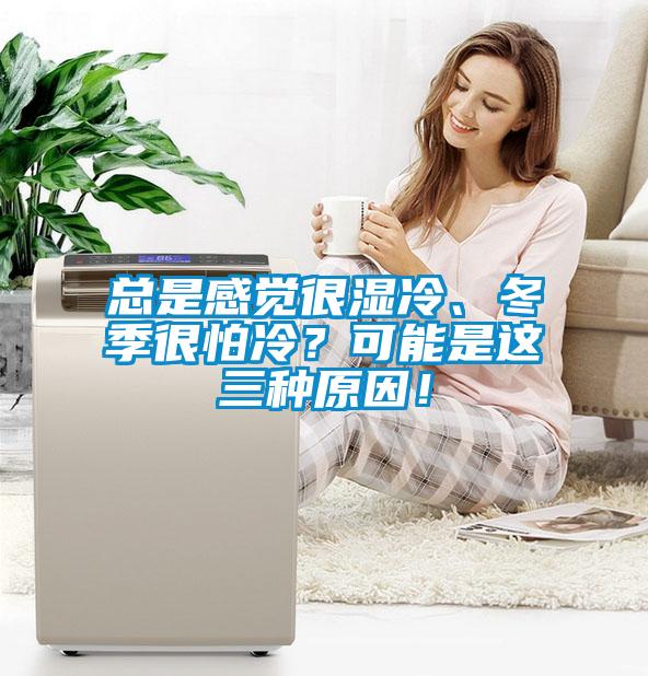总是感觉很湿冷、冬季很怕冷？可能是这三种原因！