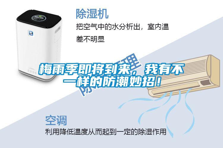 梅雨季即将到来，我有不一样的防潮妙招！