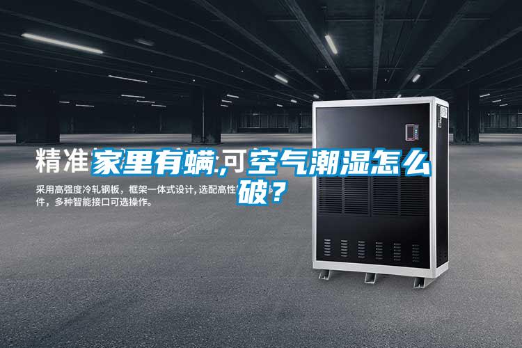 家里有螨，空气潮湿怎么破？