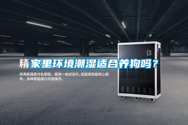 家里环境潮湿适合养狗吗？