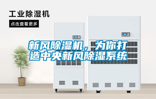 新风除湿机，为你打造中央新风除湿系统