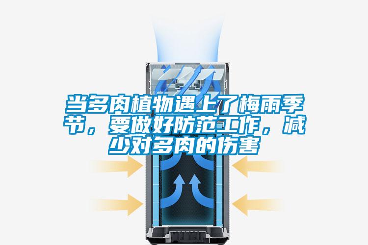 当多肉植物遇上了梅雨季节，要做好防范工作，减少对多肉的伤害