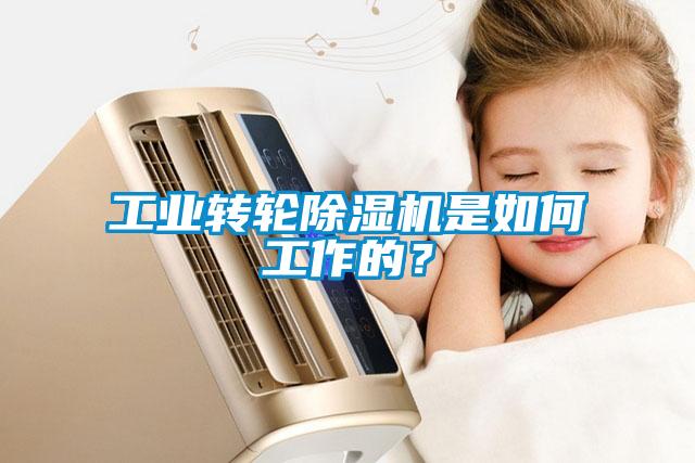 工业转轮除湿机是如何工作的？
