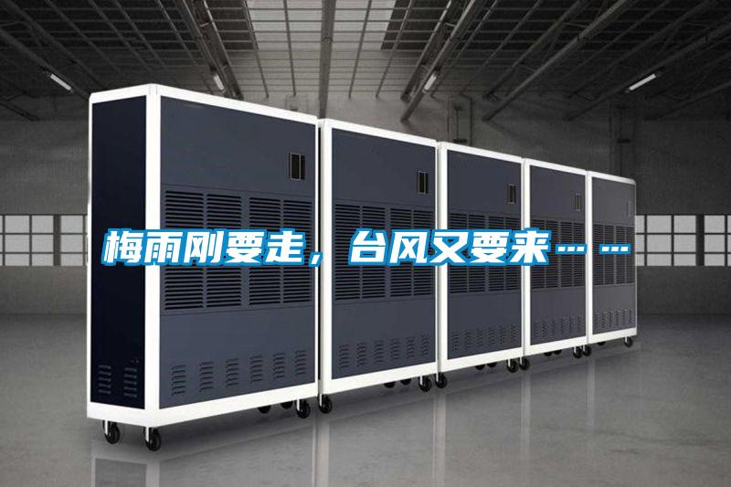 梅雨刚要走，台风又要来……