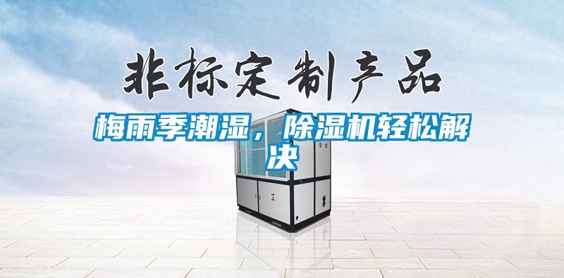 梅雨季潮湿，除湿机轻松解决