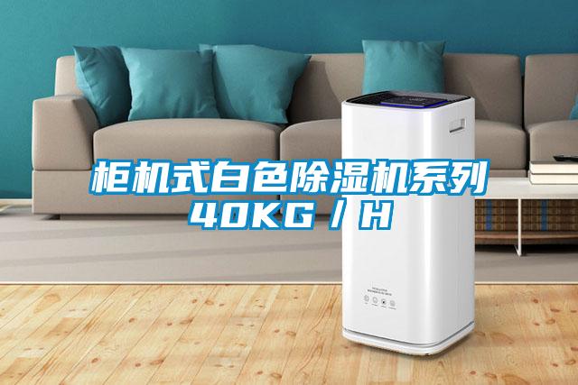 柜机式白色除湿机系列40KG／H
