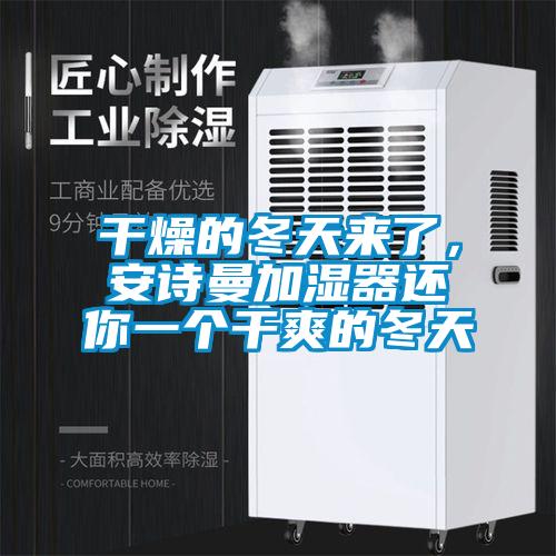 干燥的冬天来了，安诗曼加湿器还你一个干爽的冬天