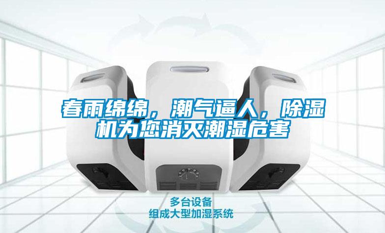 春雨绵绵，潮气逼人，除湿机为您消灭潮湿危害