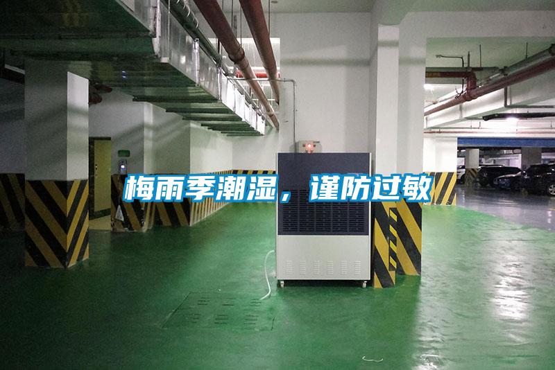 梅雨季潮湿，谨防过敏