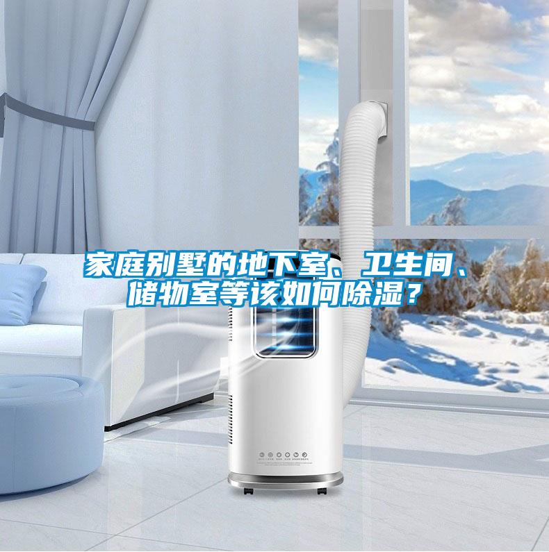 家庭别墅的地下室、卫生间、储物室等该如何除湿？