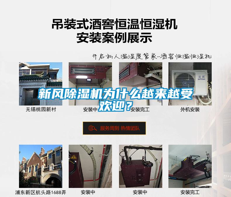 新风除湿机为什么越来越受欢迎？
