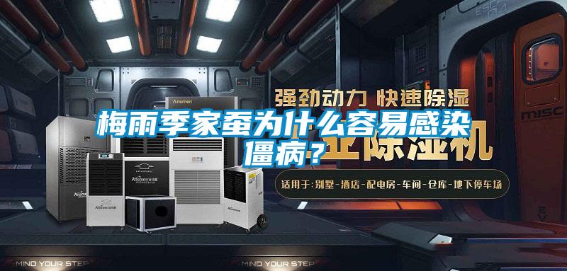 梅雨季家蚕为什么容易感染僵病？