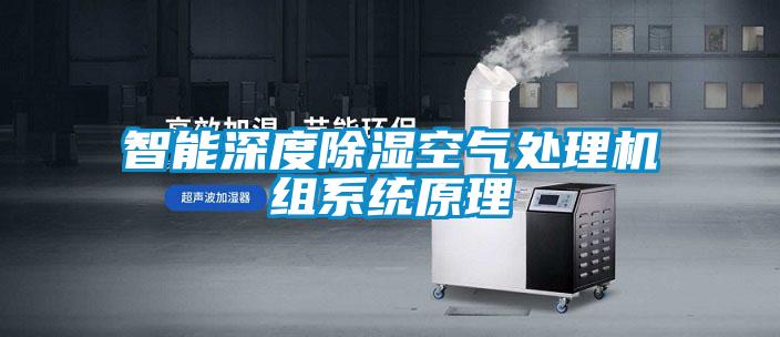 智能恒湿加湿器，一键启动自动恒湿