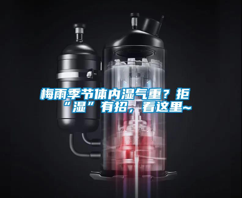 梅雨季节体内湿气重?拒“湿”有招,看这里~