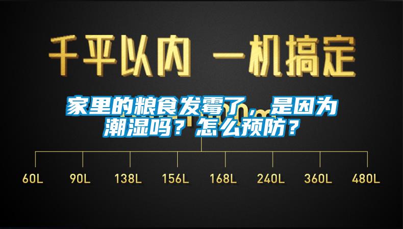家里的粮食发霉了，是因为潮湿吗？怎么预防？