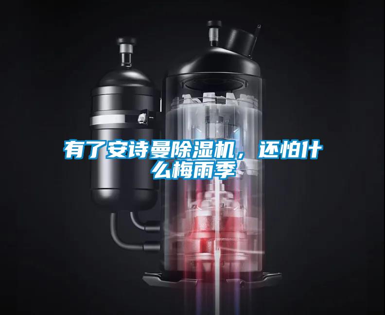 有了安诗曼除湿机，还怕什么梅雨季