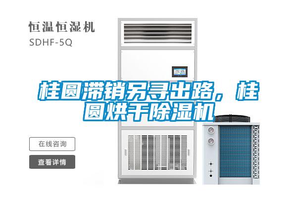 桂圆滞销另寻出路，桂圆烘干除湿机