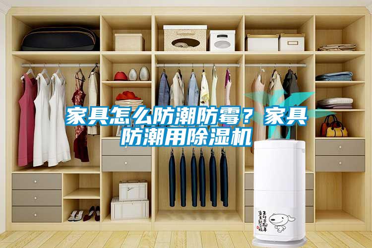 家具怎么防潮防霉？家具防潮用除湿机