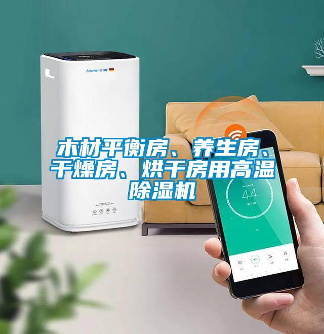木材平衡房、养生房、干燥房、烘干房用高温除湿机