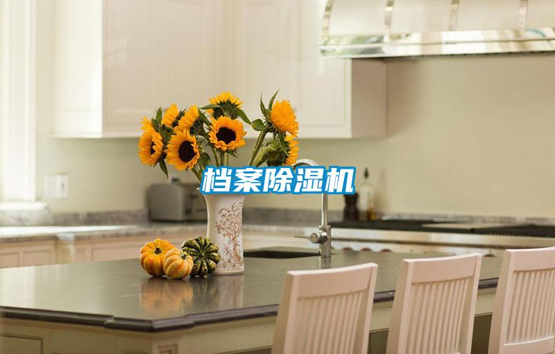 档案除湿机