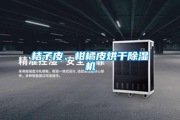 桔子皮、柑橘皮烘干除湿机