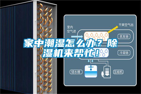 家中潮湿怎么办？除湿机来帮忙！