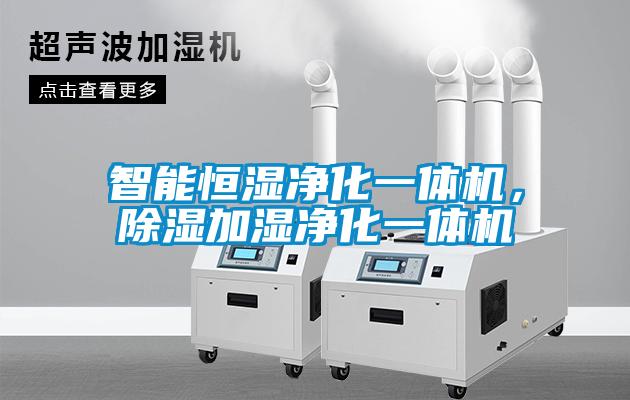智能家用除湿机，低噪静音家用智能除湿干衣机