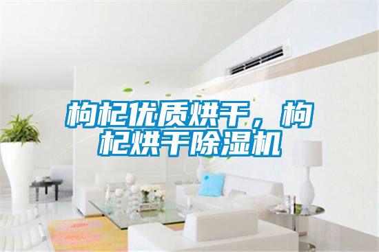 枸杞优质烘干，枸杞烘干除湿机