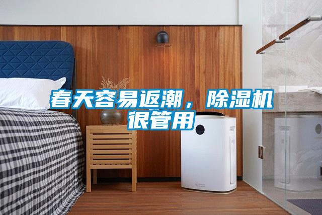 春天容易返潮，除湿机很管用