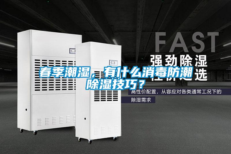 春季潮湿，有什么消毒防潮除湿技巧？