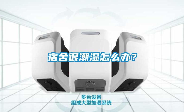 宿舍很潮湿怎么办？