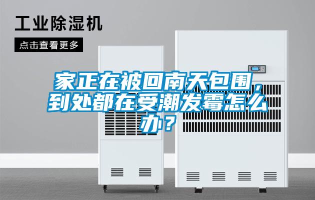 家正在被回南天包围,到处都在受潮发霉怎么办?